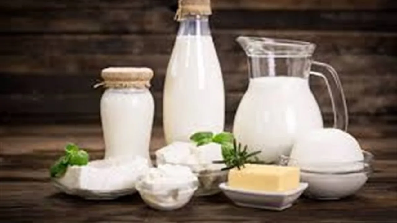 أسعار الجبن الأبيض.. تباين ملحوظ في تكلفة الألبان خلال ثاني أيام رمضان